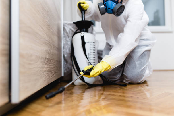 Best Wildlife Control Services  in Mililani Mauka, HI