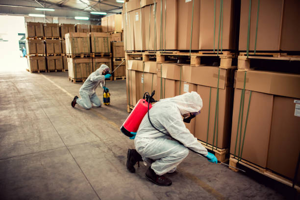 Best Affordable Pest Control Services  in Mililani Mauka, HI