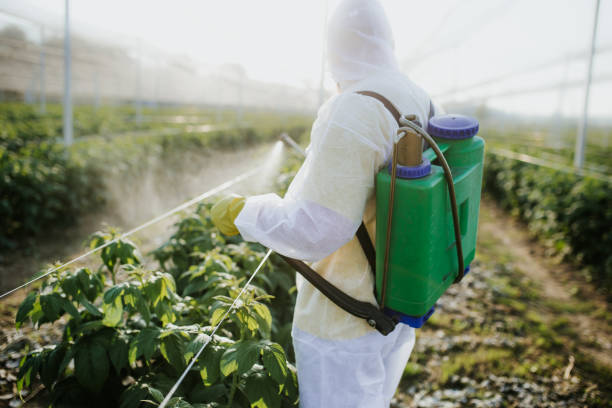 Best Local Pest Control Services  in Mililani Mauka, HI